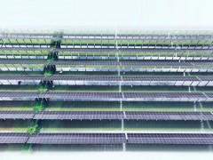 紅太陽說丨一汪碧水“兩本賬”，紅太陽“漁光互補”照亮安徽鄉村振興綠色發展路