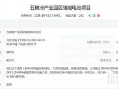 訂單猛漲246%!千億巨頭集體殺入儲(chǔ)能賽道