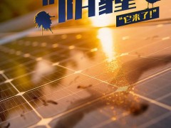 技術“提前曝光”？光伏龍頭又在憋大招