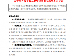 光伏龍頭新動作！擬出資4500萬元成立新公司