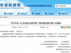 山東虛擬電廠新政落地！