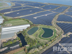 天合光能助力英國最大光儲項目榮獲IJGlobal“年度杰出光伏交易”大獎