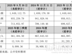 5.8億元！棒杰股份重整人定了