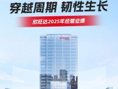 一圖讀懂欣旺達(dá)2025年經(jīng)營業(yè)績