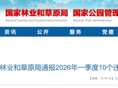 兩部門通報：風電違法占耕地200畝