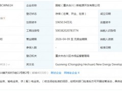 國(guó)家能源集團(tuán)成立新能源開(kāi)發(fā)公司